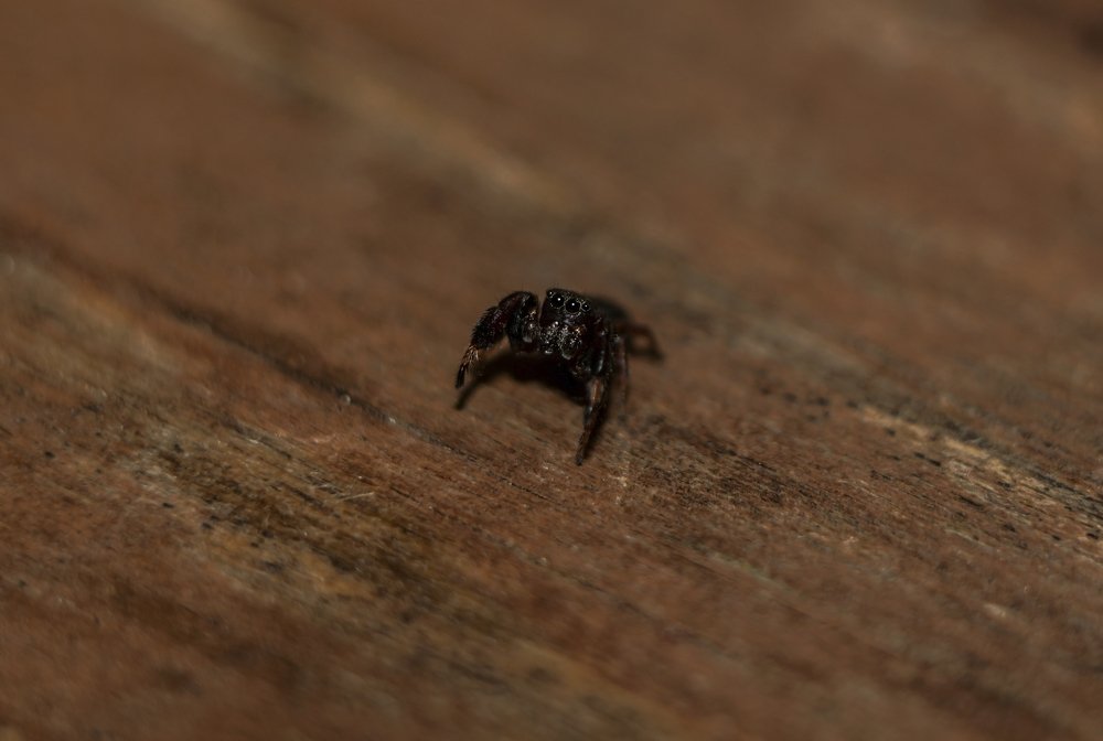 Photograph by Maria Nalimova