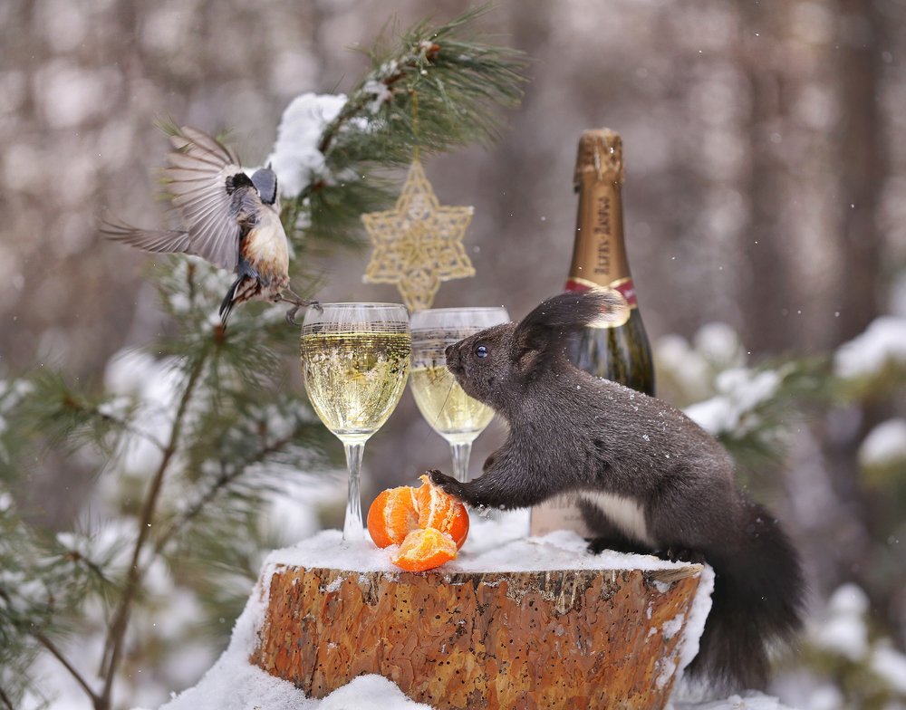 Photograph by Евгения Левина