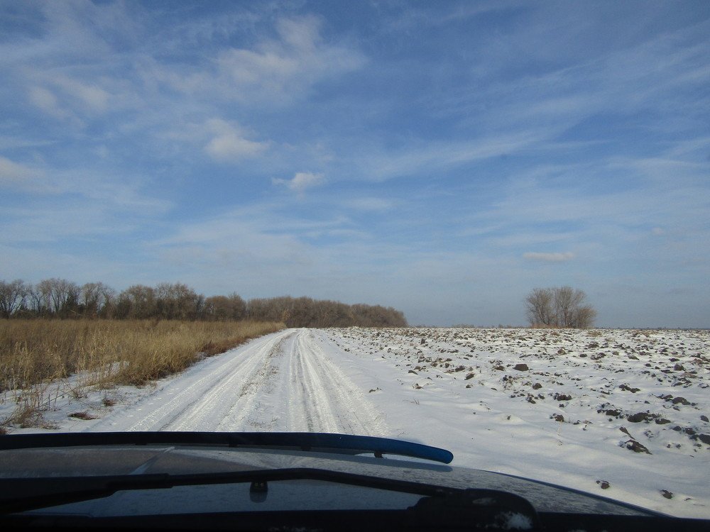 Photograph by Елена Грибанова
