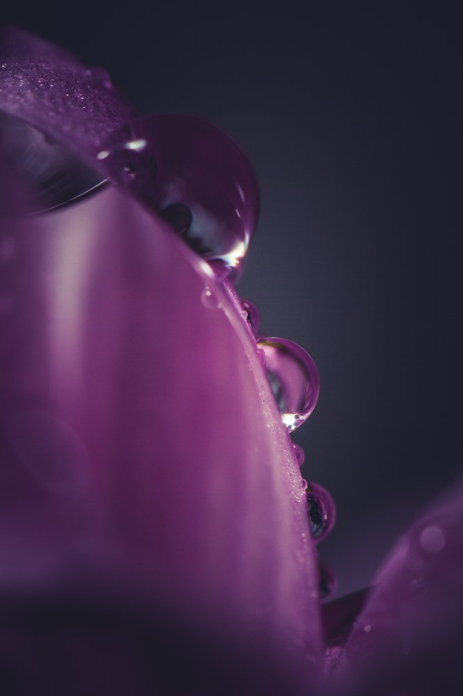 Photograph by Мешков Игорь