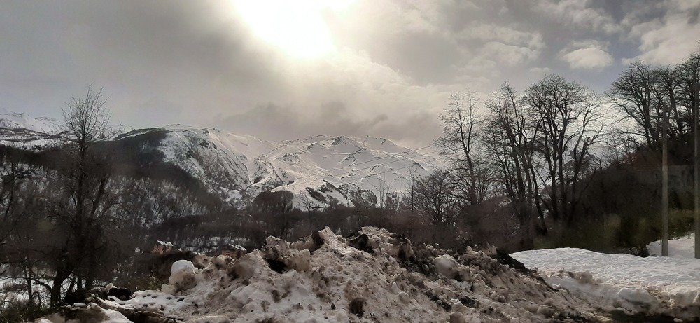 Photo #4250141