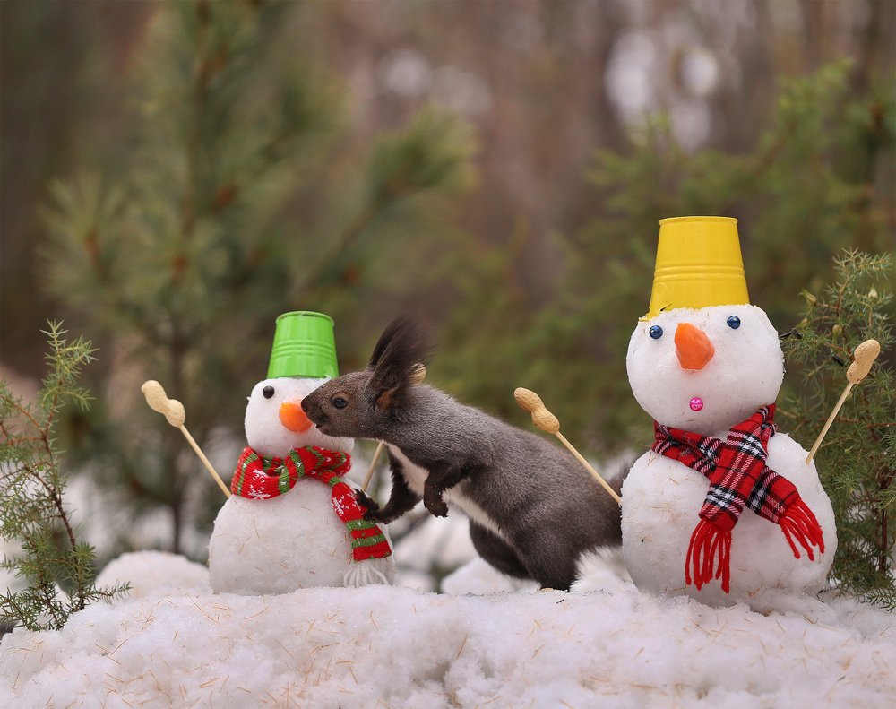 Photograph by Евгения Левина