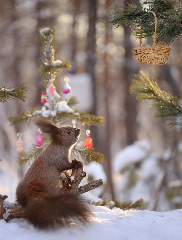 Волшебная корзинка