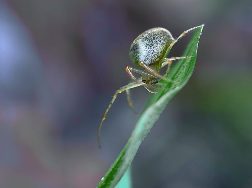 Photograph by Иван Д.