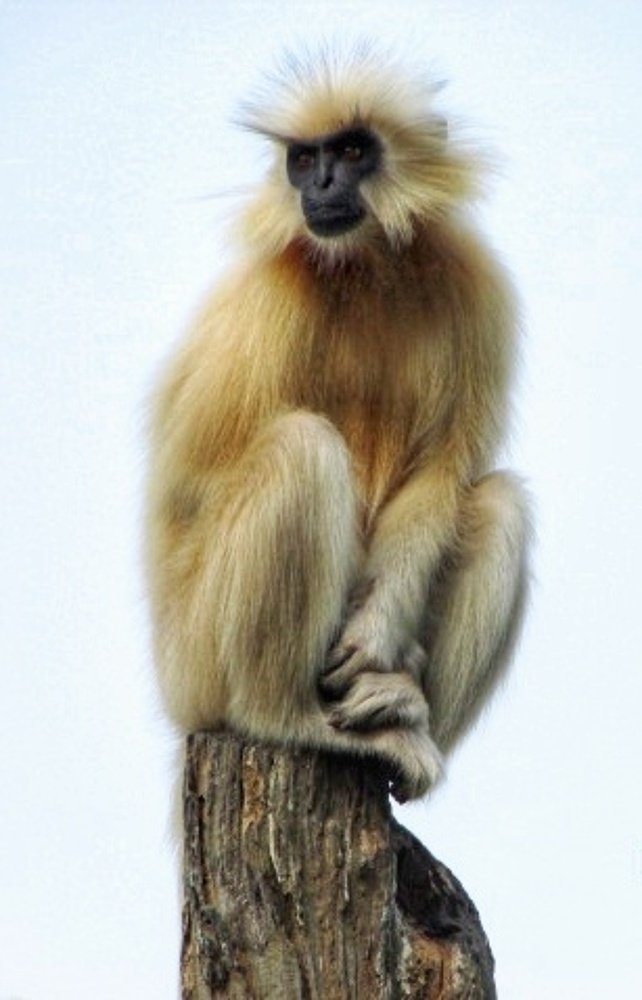 Photograph by Monuj Kr Dutta