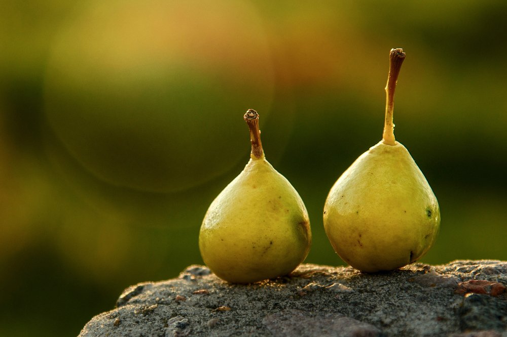 Photograph by Марина Крюкова