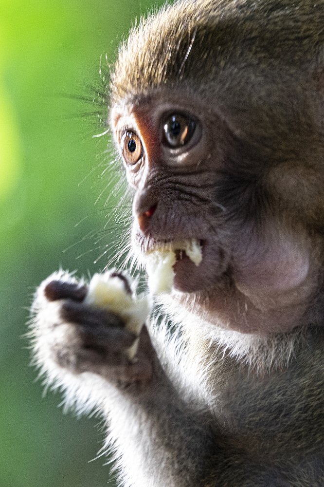 Photograph by Tuan Van Nguyen