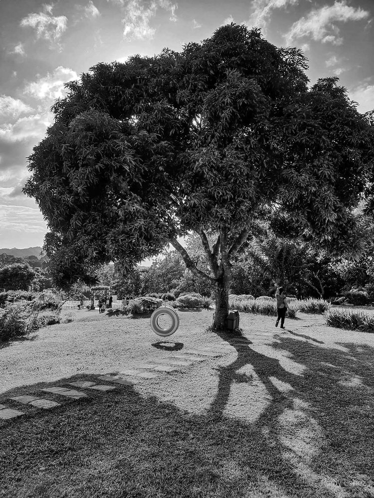 Photograph by Ramon II Lopez