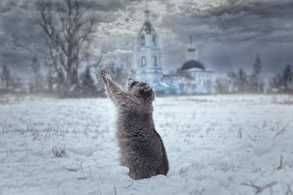 Photograph by Ирина Зайцева