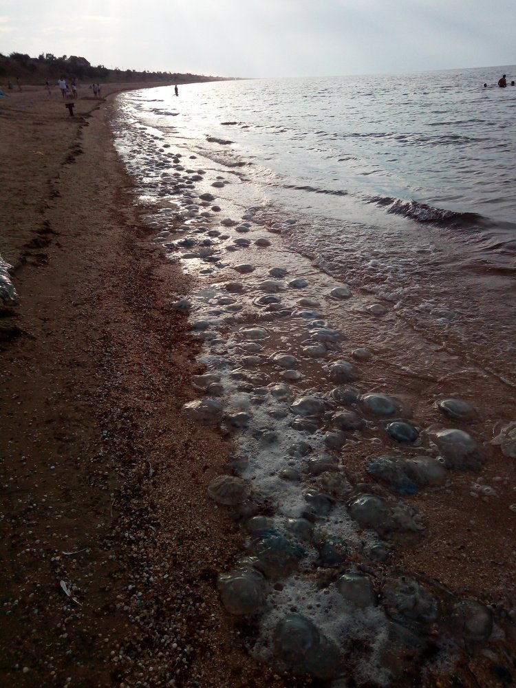 Аномалия на Азовском море