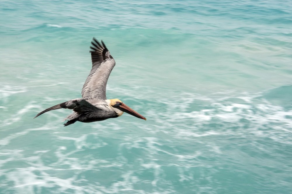 Photograph by Denis Starchikov