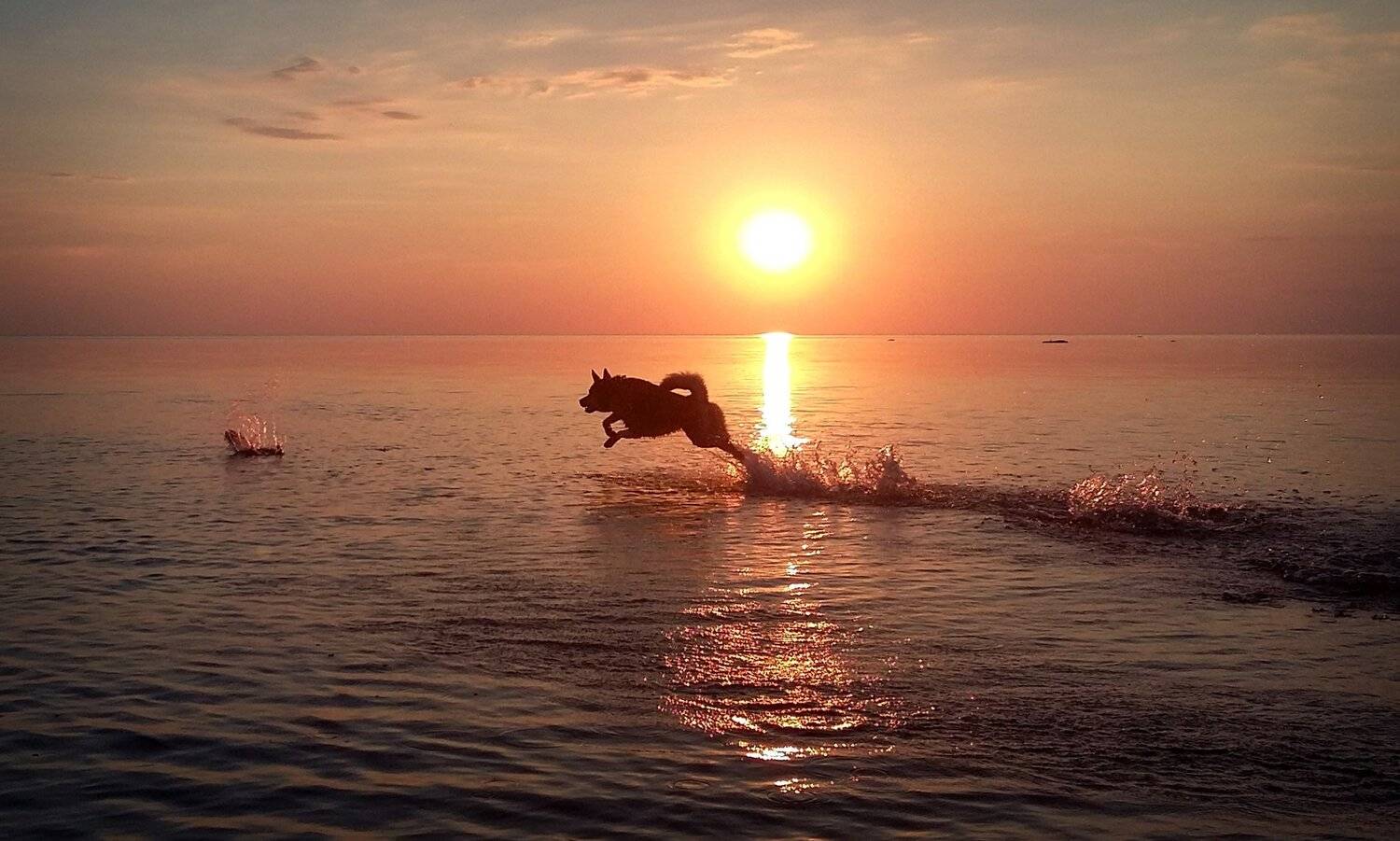 Chak