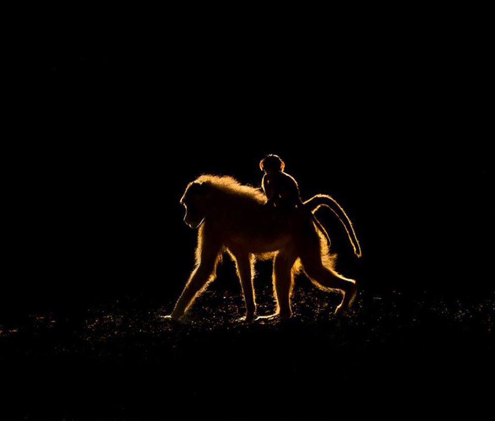 Photograph by PERUMAL VELLINGIRI