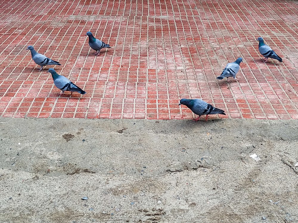 Photograph by Mohit Kumar Meena