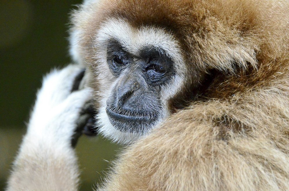 Photograph by  Graal Photographies