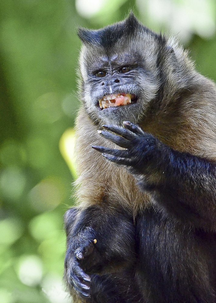 Photograph by  Graal Photographies