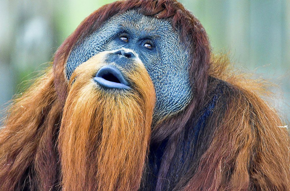 Photograph by  Graal Photographies