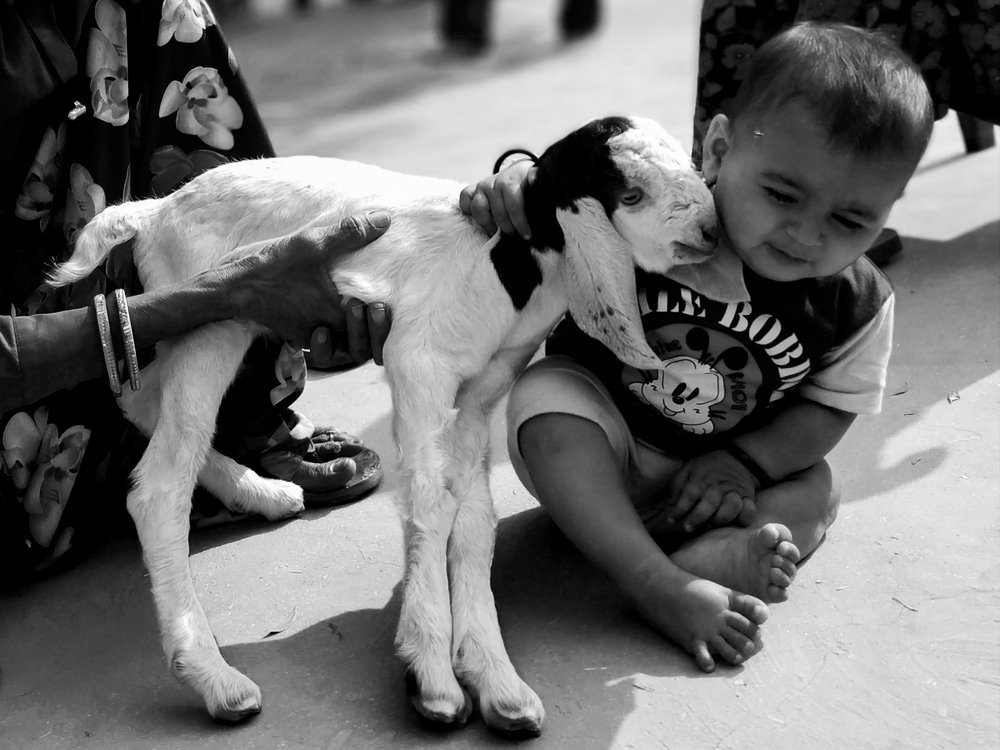 Photograph by Mohit Kumar Meena