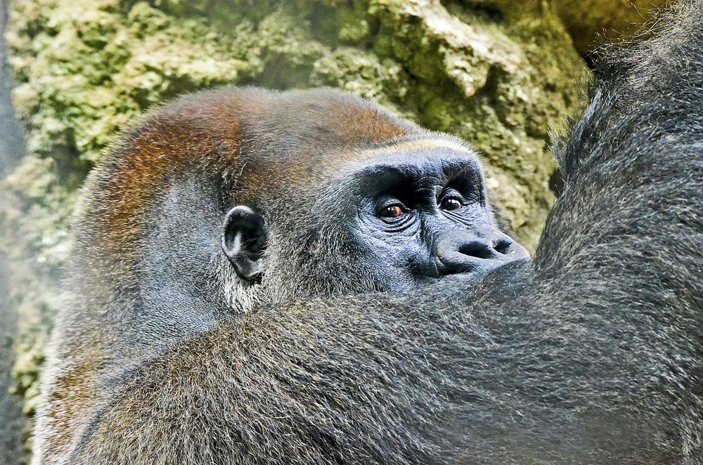 Photograph by  Graal Photographies