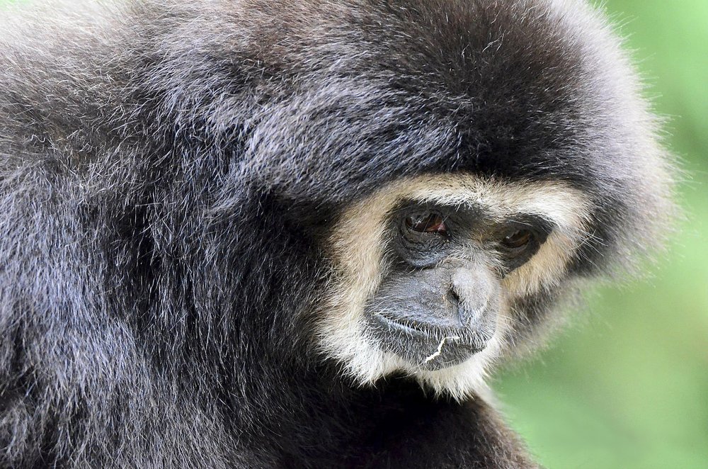 Photograph by  Graal Photographies