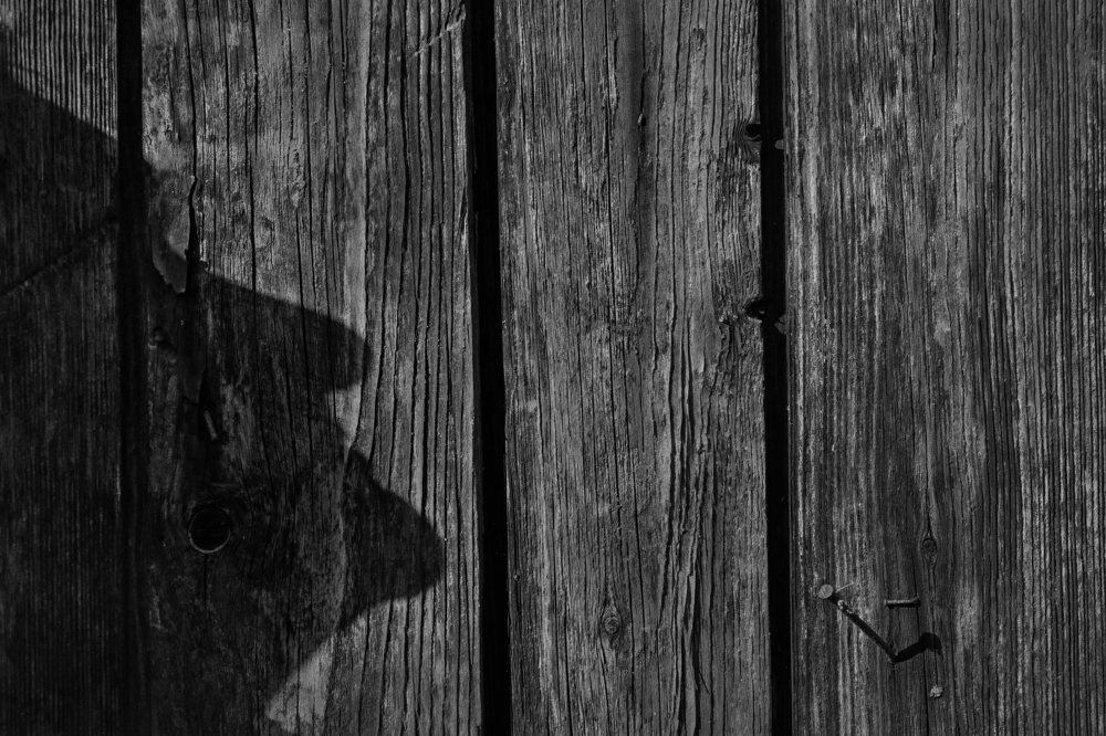 Photograph by игорь