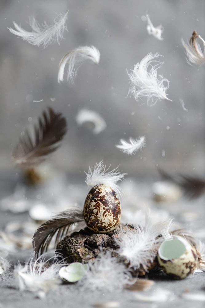 Photograph by  fashionfoodfoto