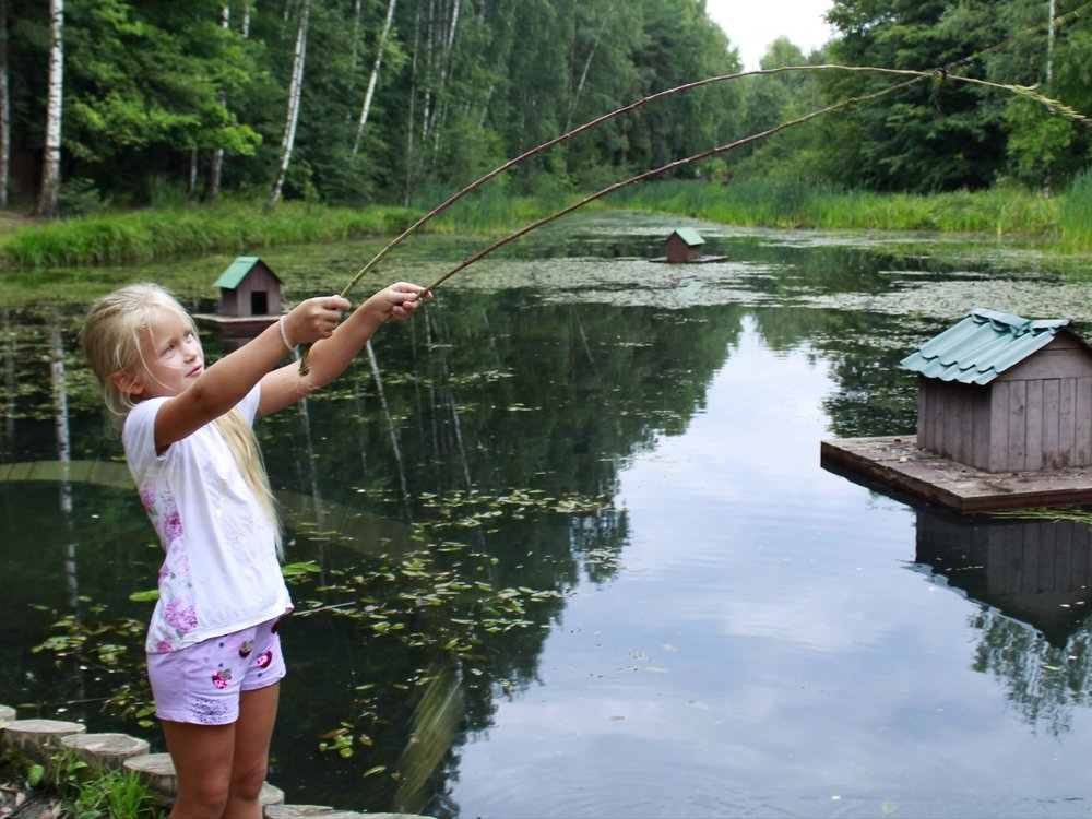 Photograph by Татьяна Дубовицкая