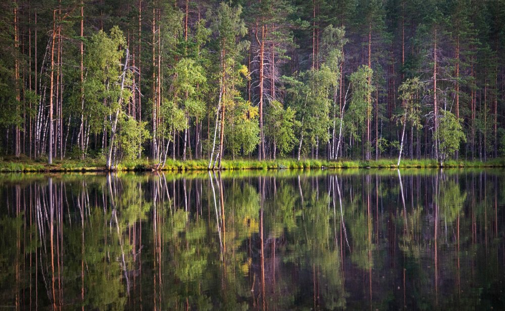 Photograph by Мария Бутягина