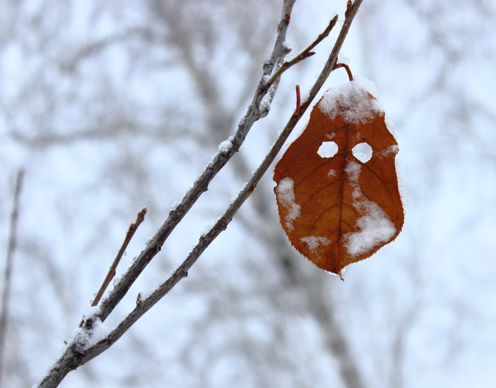 Photograph by ЕЛЕНА МИЛОВАНОВА