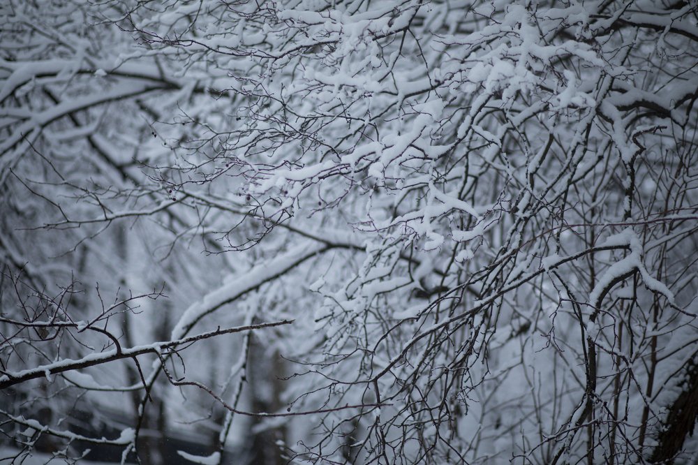 Photograph by Татьяна Дубовицкая