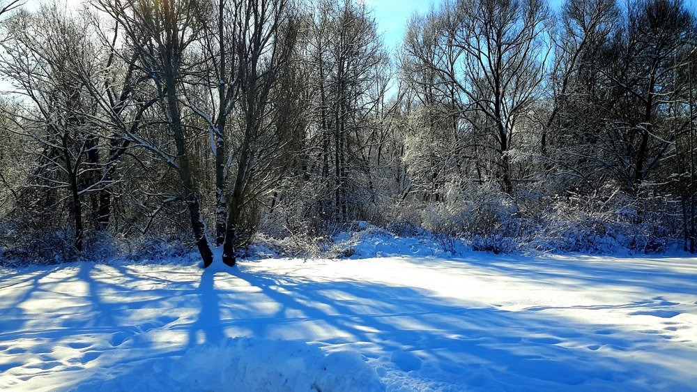 Photograph by Борис Каширин