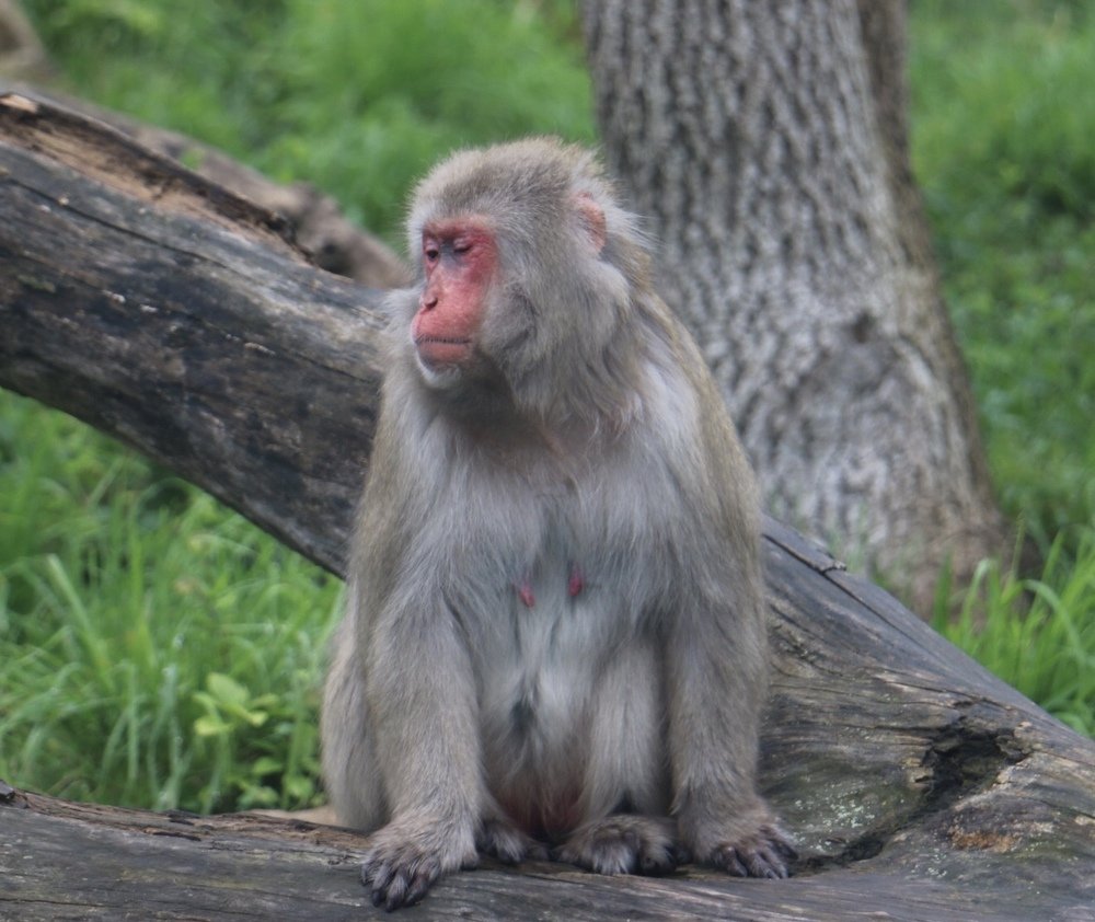 Photograph by Маргарита Венсил.