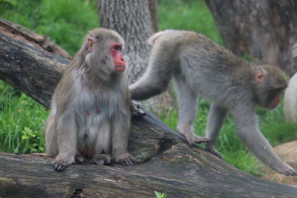 Photograph by Маргарита Венсил.