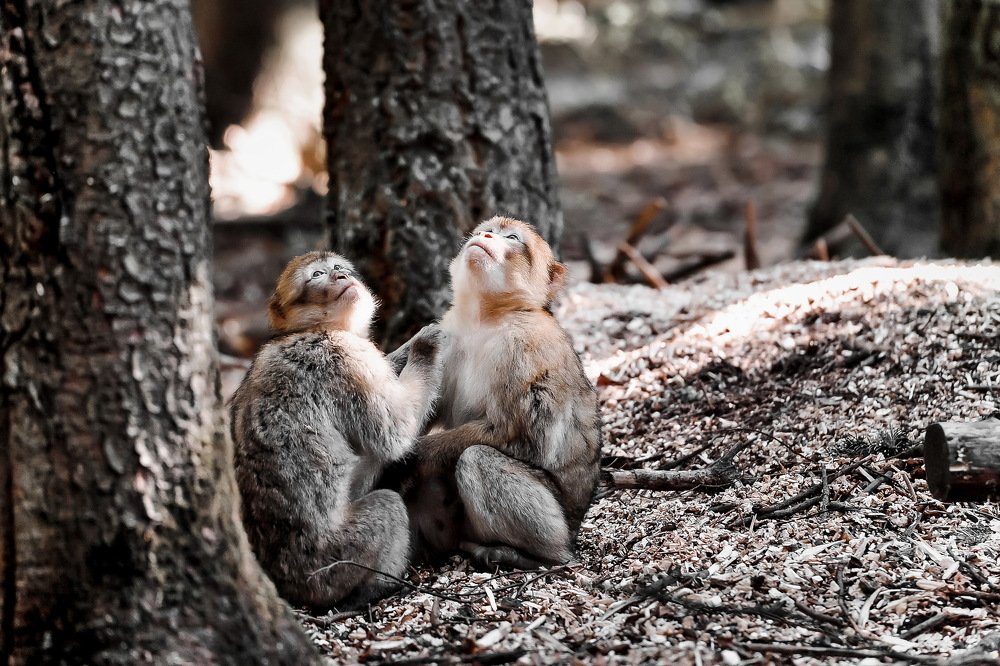 Photograph by Рахат Керимбаев