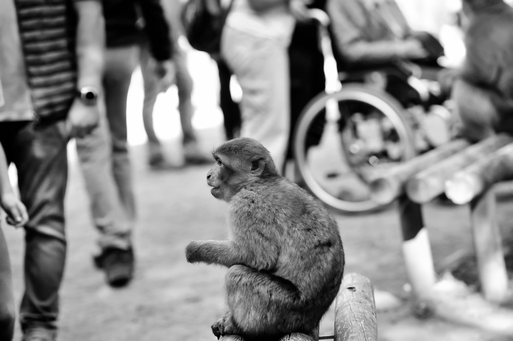 Photograph by Рахат Керимбаев