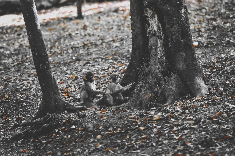 Photograph by Рахат Керимбаев