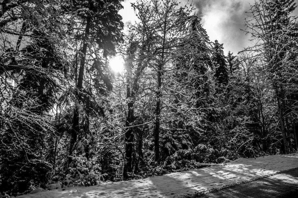 Photograph by Светлана Яковлева