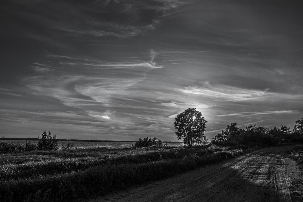 Photograph by Светлана Яковлева