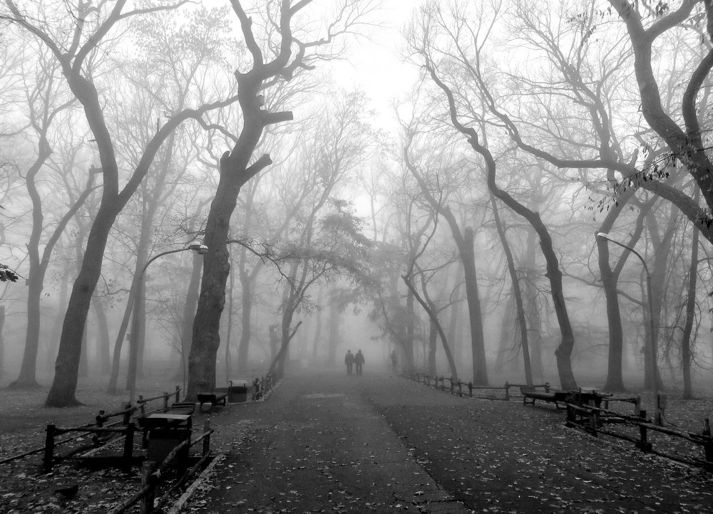 Photograph by Екатерина Салий