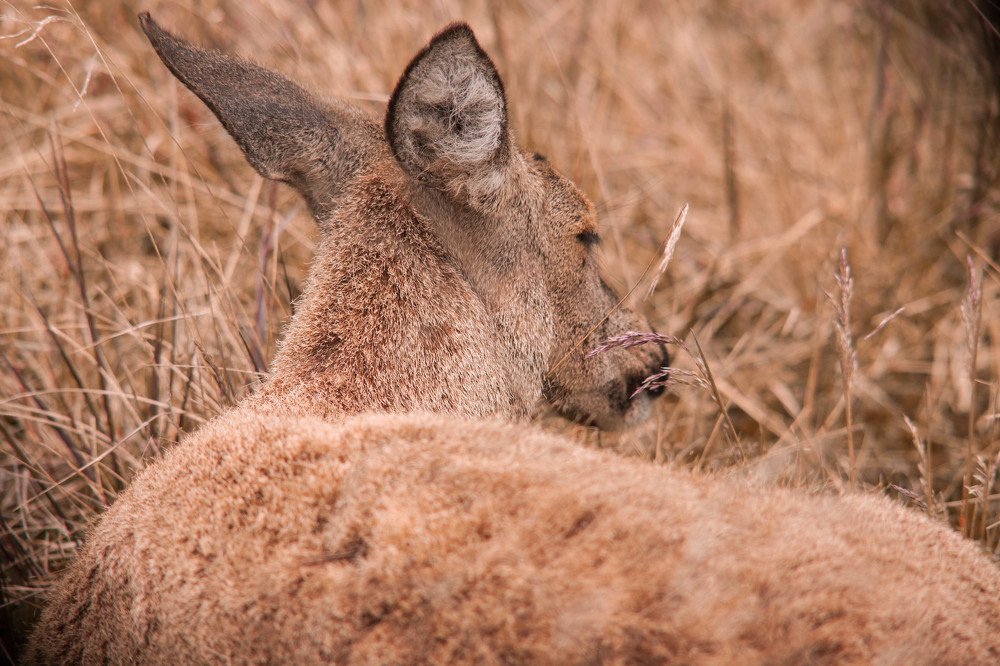 Photograph by Diego Canut