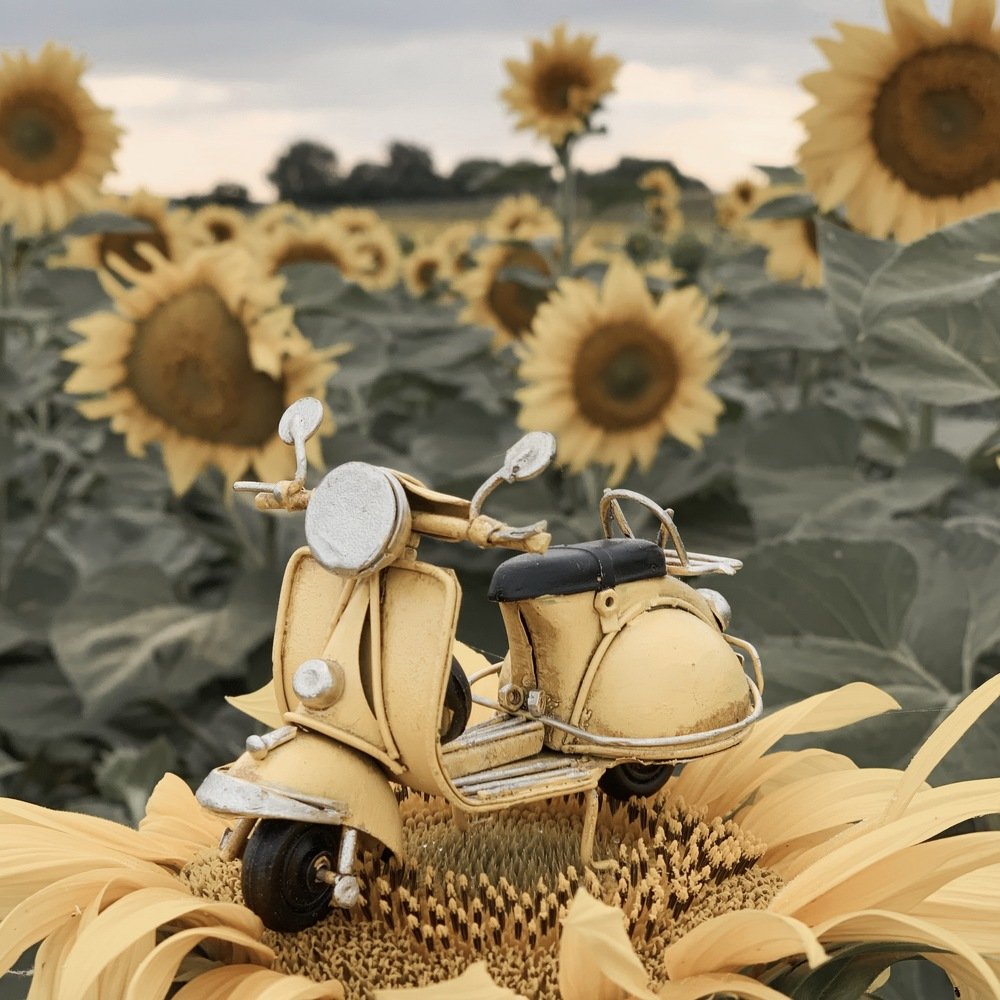 Photograph by Анастасия Иванова