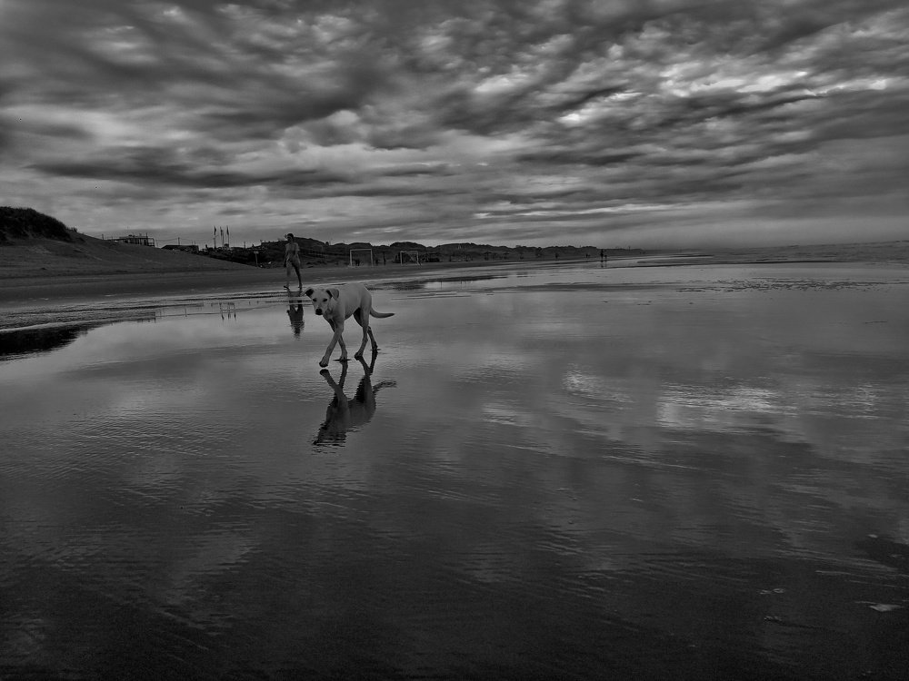 Photograph by Agustina Dávila