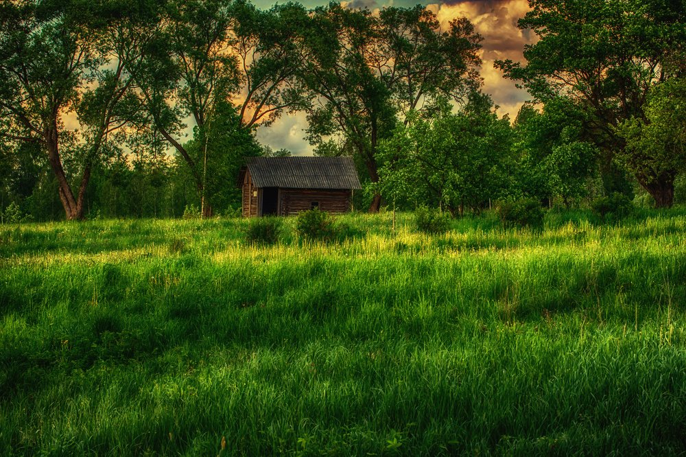 Photograph by Gaļina