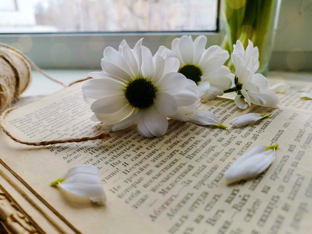 Photograph by Светлана Перминова