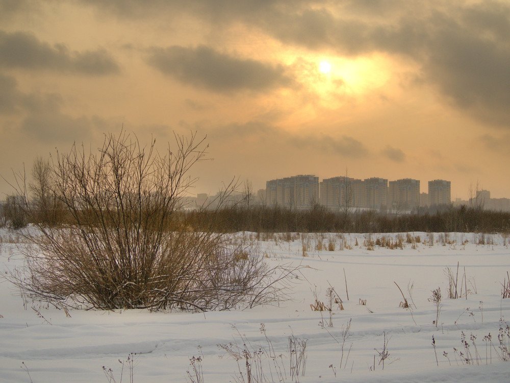 Photograph by Андрей Куприенко