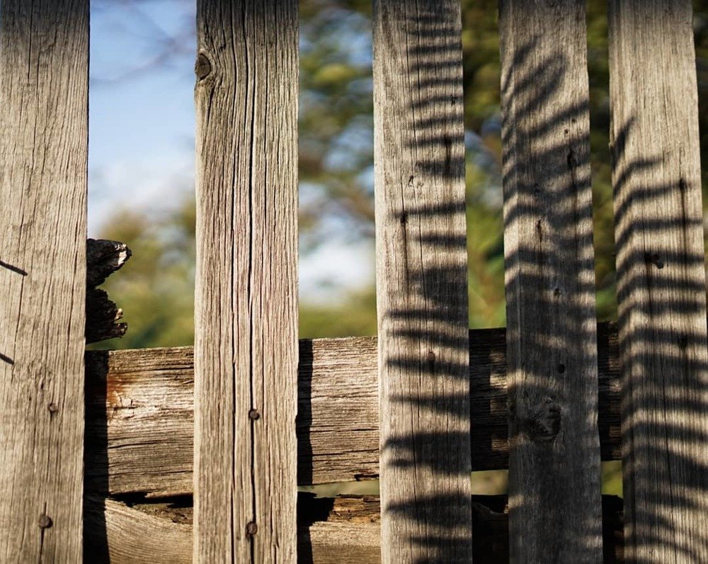 Photograph by Анна Силютина