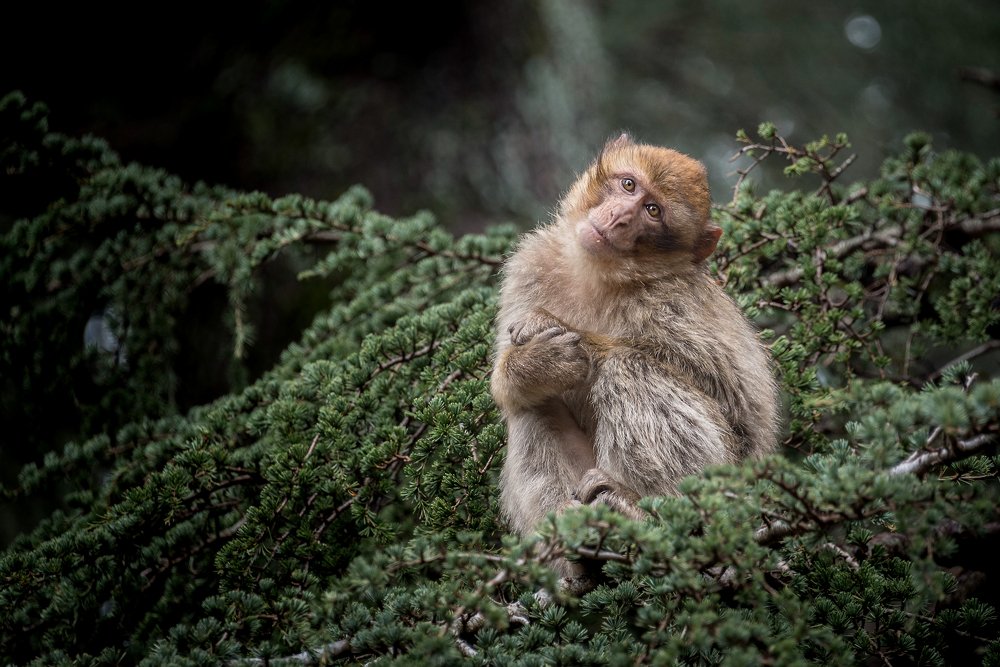 Photograph by Carolina Leske