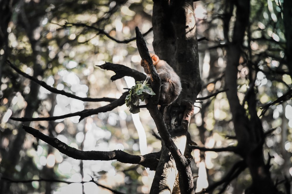 Photograph by Рахат Керимбаев