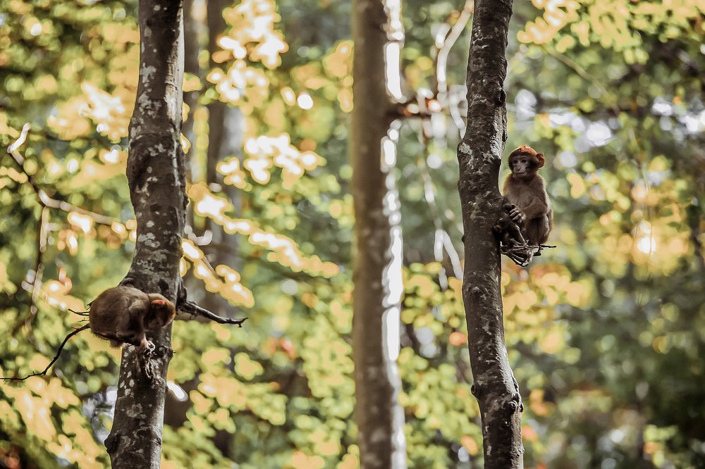 Photograph by Рахат Керимбаев