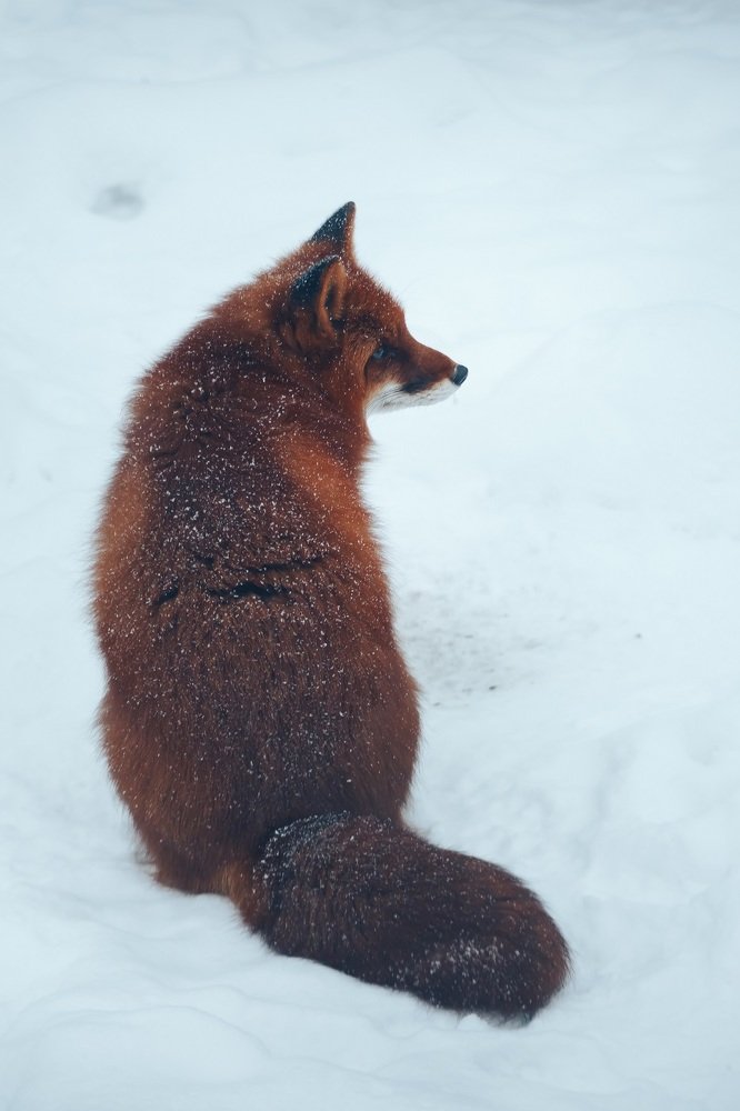 Photograph by Елизавета Савина